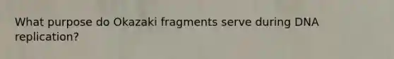 What purpose do Okazaki fragments serve during DNA replication?