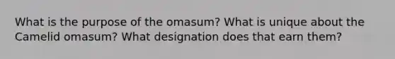 What is the purpose of the omasum? What is unique about the Camelid omasum? What designation does that earn them?