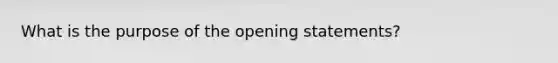 What is the purpose of the opening statements?