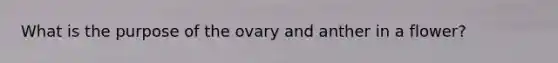 What is the purpose of the ovary and anther in a flower?