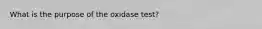 What is the purpose of the oxidase test?