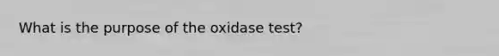 What is the purpose of the oxidase test?