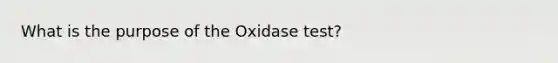 What is the purpose of the Oxidase test?