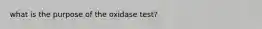 what is the purpose of the oxidase test?