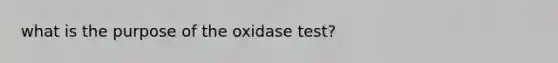 what is the purpose of the oxidase test?