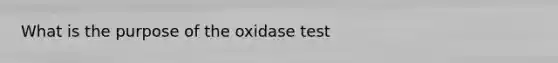 What is the purpose of the oxidase test