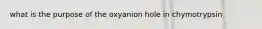 what is the purpose of the oxyanion hole in chymotrypsin