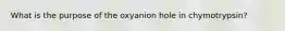 What is the purpose of the oxyanion hole in chymotrypsin?