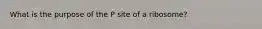 What is the purpose of the P site of a ribosome?