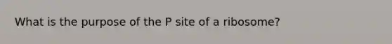 What is the purpose of the P site of a ribosome?