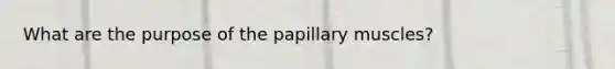 What are the purpose of the papillary muscles?