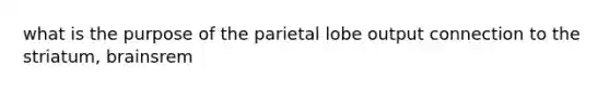 what is the purpose of the parietal lobe output connection to the striatum, brainsrem