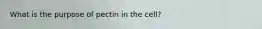 What is the purpose of pectin in the cell?