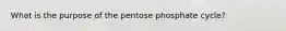 What is the purpose of the pentose phosphate cycle?