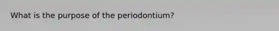 What is the purpose of the periodontium?