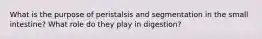 What is the purpose of peristalsis and segmentation in the small intestine? What role do they play in digestion?