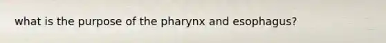 what is the purpose of the pharynx and esophagus?