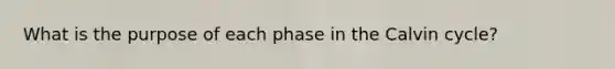 What is the purpose of each phase in the Calvin cycle?