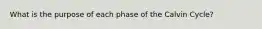 What is the purpose of each phase of the Calvin Cycle?