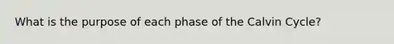 What is the purpose of each phase of the Calvin Cycle?