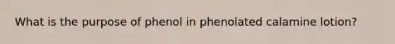 What is the purpose of phenol in phenolated calamine lotion?