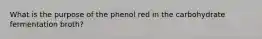 What is the purpose of the phenol red in the carbohydrate fermentation broth?