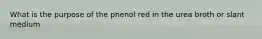 What is the purpose of the phenol red in the urea broth or slant medium