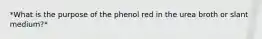 *What is the purpose of the phenol red in the urea broth or slant medium?*