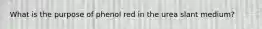 What is the purpose of phenol red in the urea slant medium?