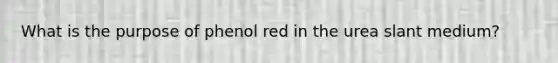 What is the purpose of phenol red in the urea slant medium?