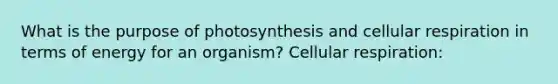 What is the purpose of photosynthesis and cellular respiration in terms of energy for an organism? Cellular respiration: