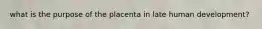 what is the purpose of the placenta in late human development?