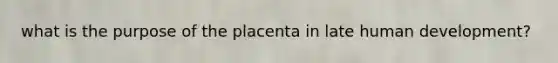 what is the purpose of the placenta in late human development?