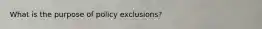 What is the purpose of policy exclusions?