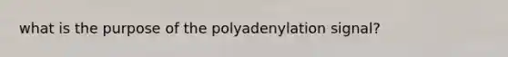 what is the purpose of the polyadenylation signal?