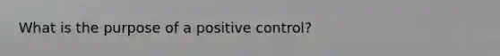 What is the purpose of a positive control?