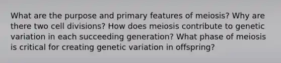 What are the purpose and primary features of meiosis? Why are there two cell divisions? How does meiosis contribute to genetic variation in each succeeding generation? What phase of meiosis is critical for creating genetic variation in offspring?