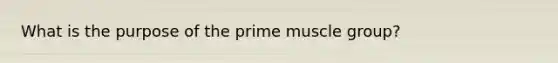 What is the purpose of the prime muscle group?