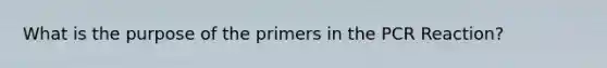 What is the purpose of the primers in the PCR Reaction?