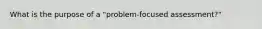 What is the purpose of a "problem-focused assessment?"