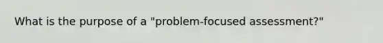 What is the purpose of a "problem-focused assessment?"