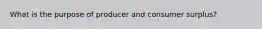 What is the purpose of producer and consumer surplus?