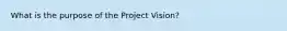 What is the purpose of the Project Vision?