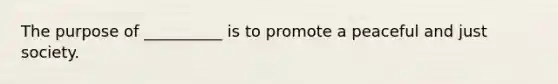 The purpose of __________ is to promote a peaceful and just society.