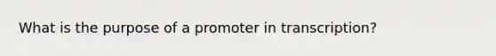 What is the purpose of a promoter in transcription?