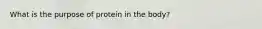 What is the purpose of protein in the body?