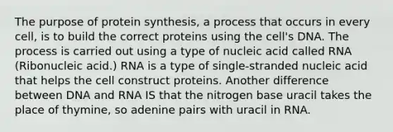 The purpose of protein synthesis, a process that occurs in every cell, is to build the correct proteins using the cell's DNA. The process is carried out using a type of nucleic acid called RNA (Ribonucleic acid.) RNA is a type of single-stranded nucleic acid that helps the cell construct proteins. Another difference between DNA and RNA IS that the nitrogen base uracil takes the place of thymine, so adenine pairs with uracil in RNA.