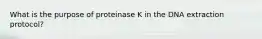 What is the purpose of proteinase K in the DNA extraction protocol?