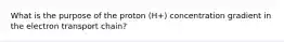 What is the purpose of the proton (H+) concentration gradient in the electron transport chain?