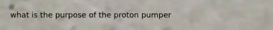 what is the purpose of the proton pumper